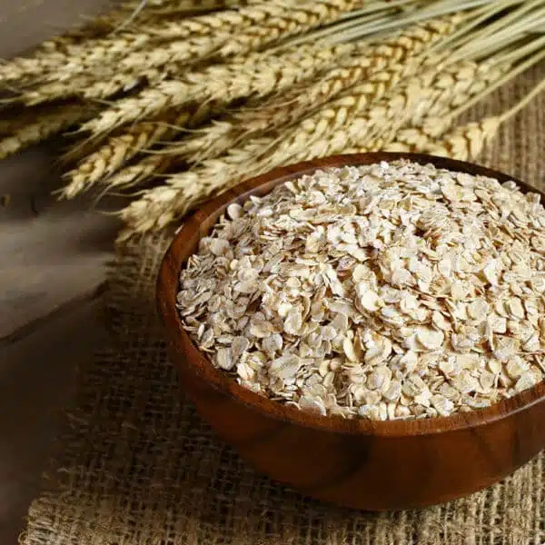 Avena biologica