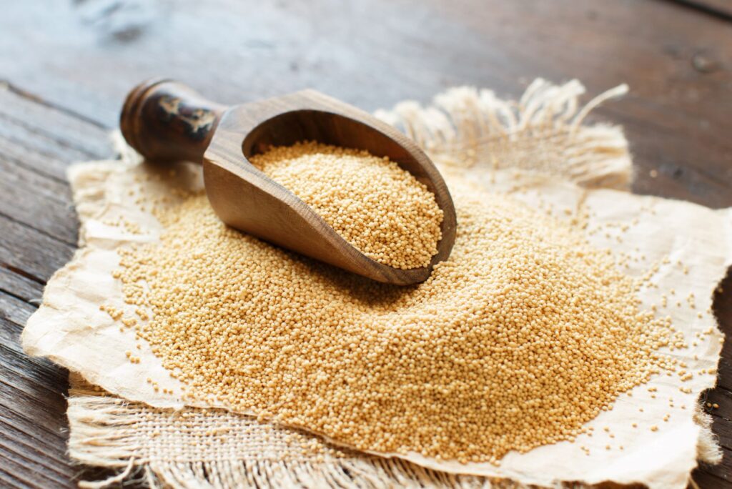 Pseudo-céréales quinoa, amarante et sarrasin